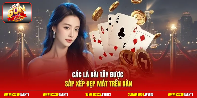 Các lá bài tây được sắp xếp đẹp mắt trên bàn